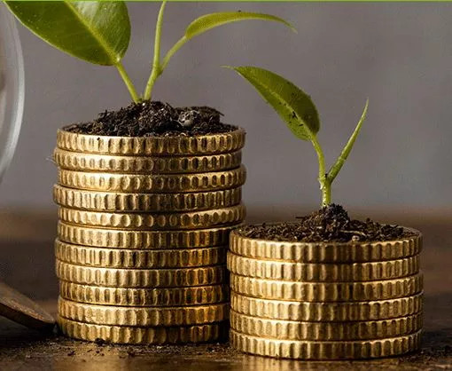 Kuza Money Market Fund KES